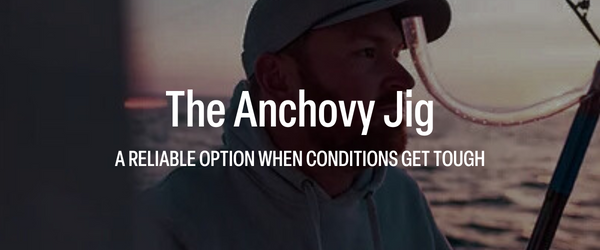 Anchovy Jig Breakdown: When and Why It Outperforms